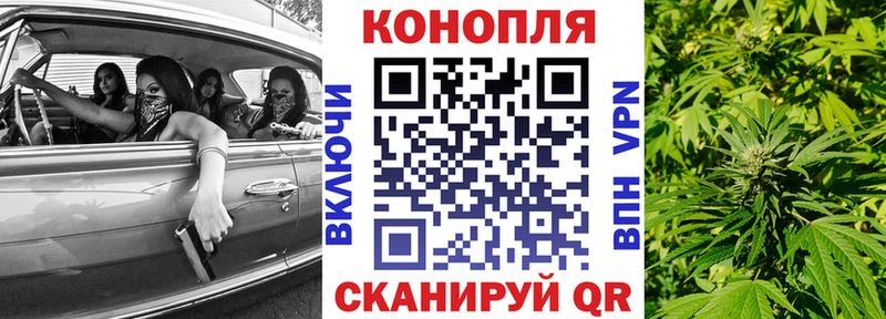 Конопля OG Kush  Волхов 
